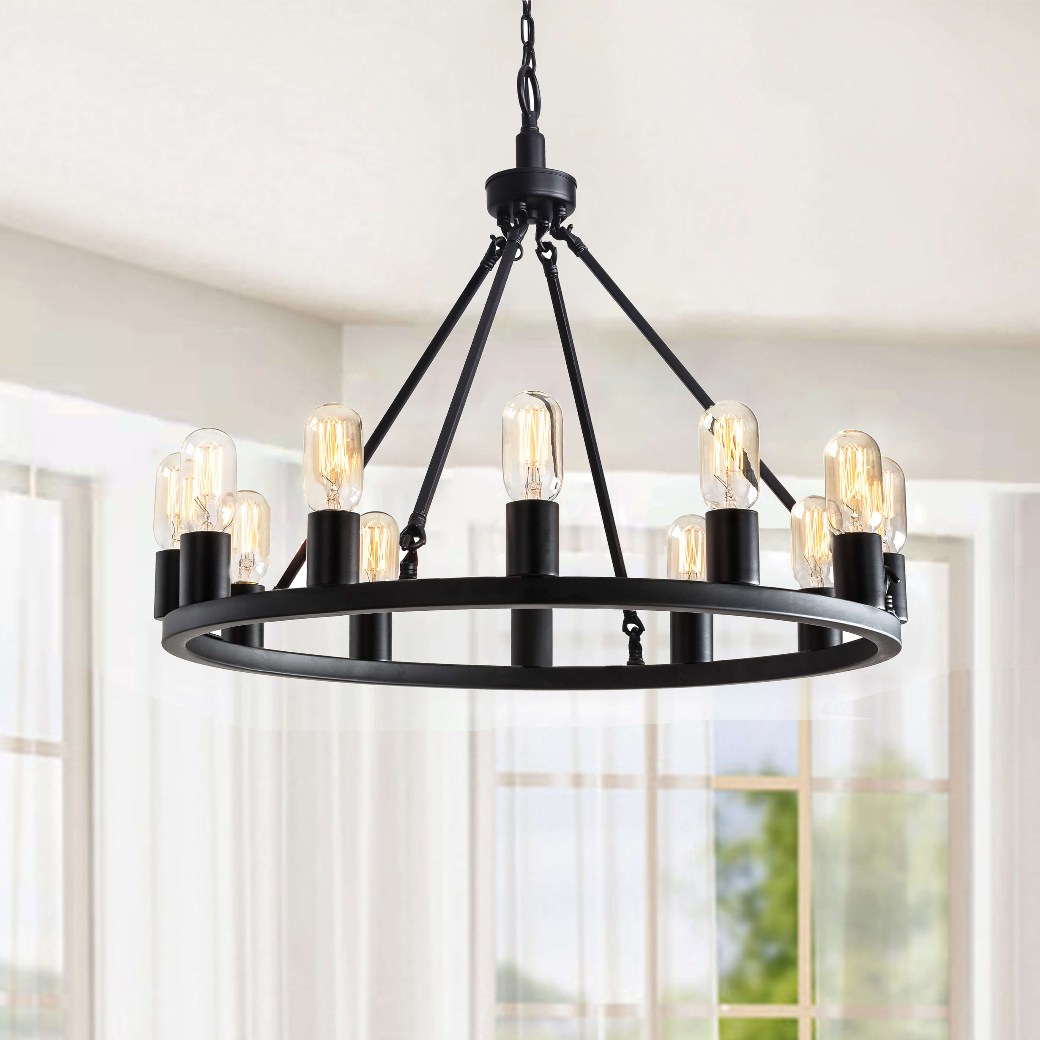 Eva Black 12-light Metal Round Chandelier BX-6495-AYF